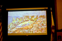 Biodiversity Conference (IAC) Sea Turtles